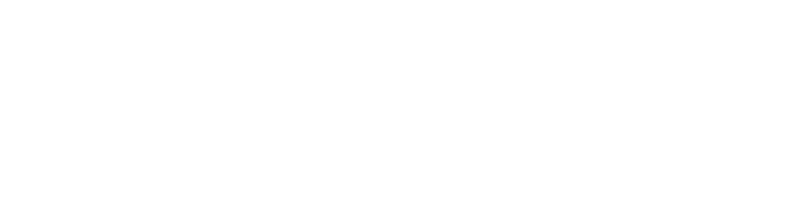 Northern Premium Finance Logo